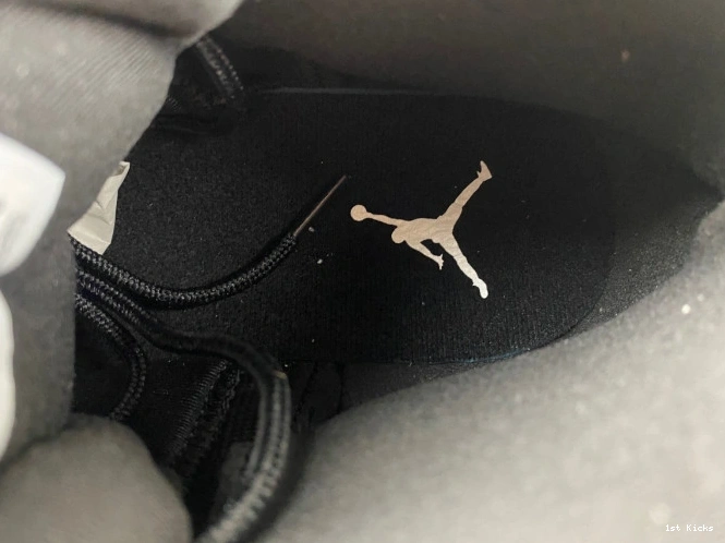 Black 12 CT8013- Wolf SportInspired Grey Jordan Air 658 0109